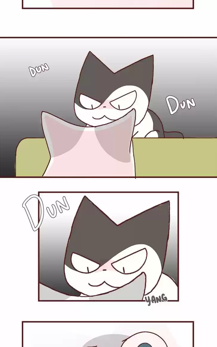 Saphie: The One-Eyed Cat 175