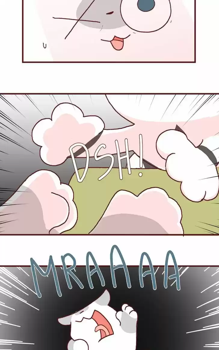 Saphie: The One-Eyed Cat 175