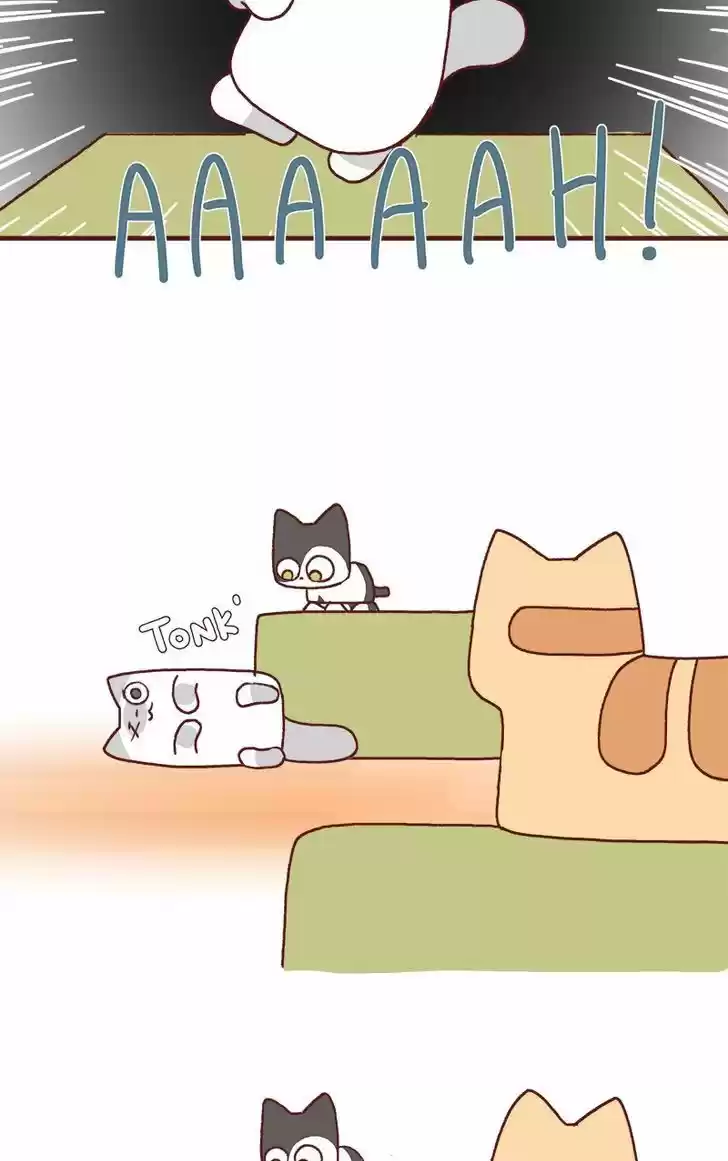 Saphie: The One-Eyed Cat 175