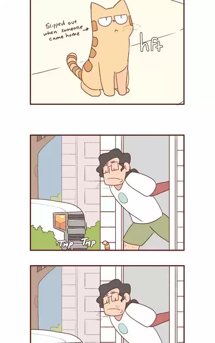 Saphie: The One-Eyed Cat 176