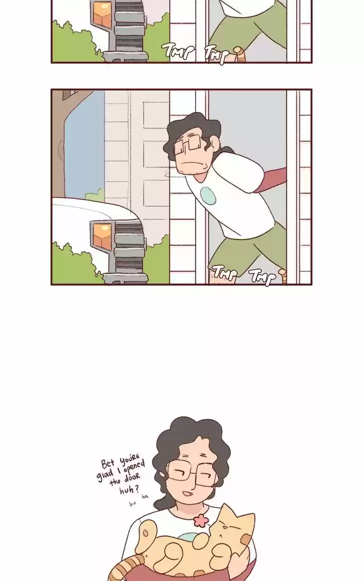 Saphie: The One-Eyed Cat 176