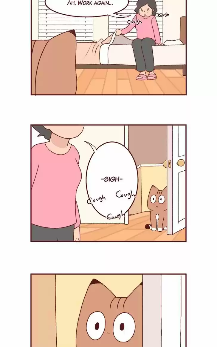 Saphie: The One-Eyed Cat 177