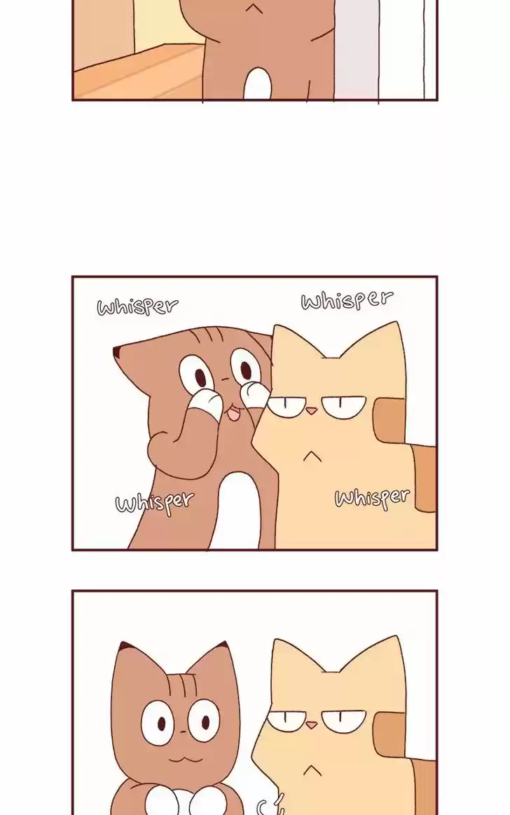 Saphie: The One-Eyed Cat 177