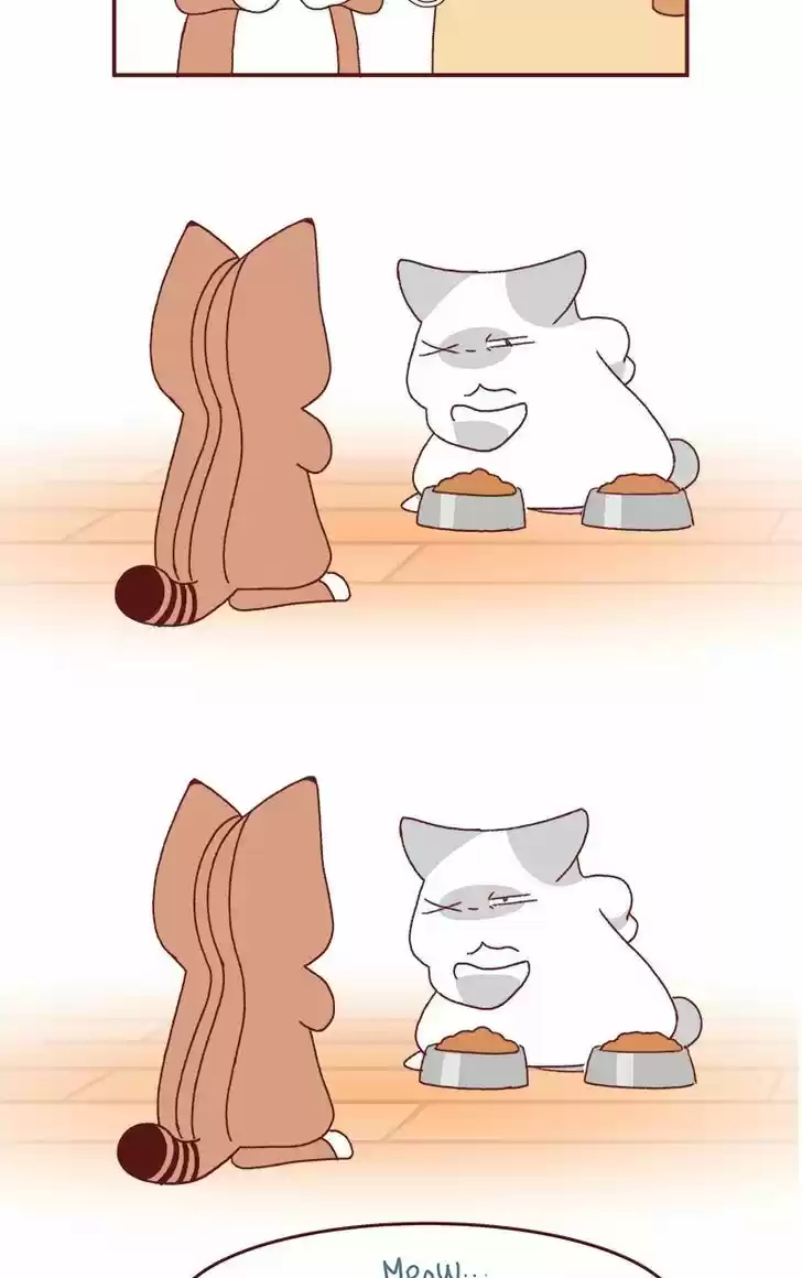 Saphie: The One-Eyed Cat 177