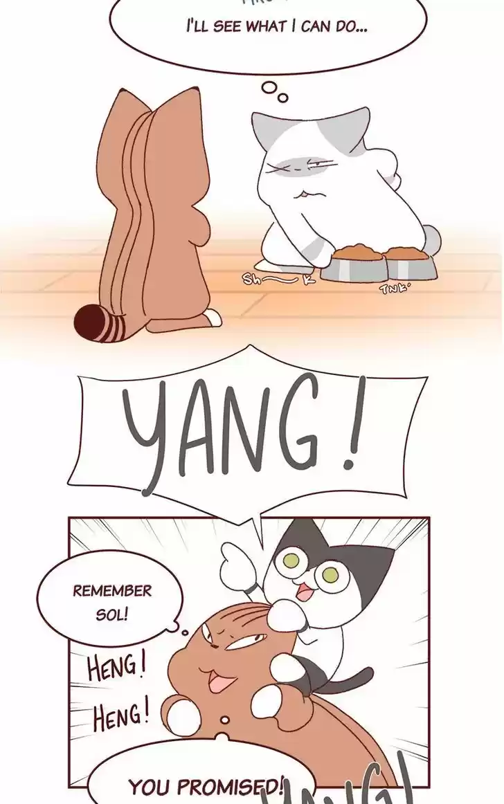 Saphie: The One-Eyed Cat 177