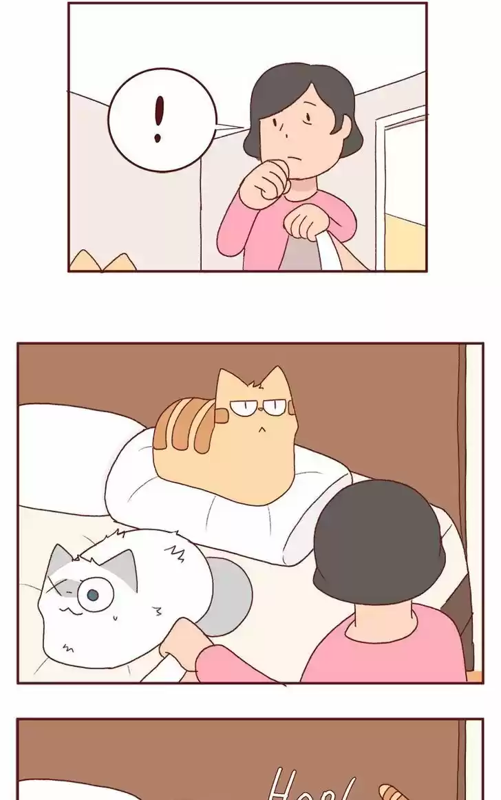 Saphie: The One-Eyed Cat 177