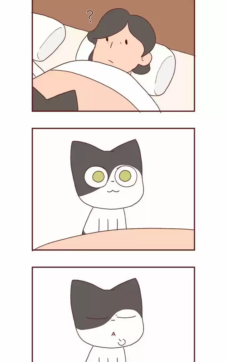 Saphie: The One-Eyed Cat 177