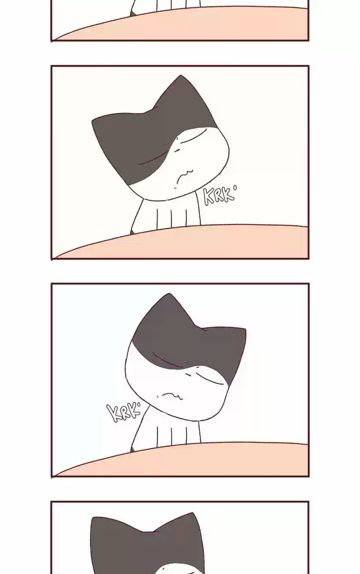 Saphie: The One-Eyed Cat 177