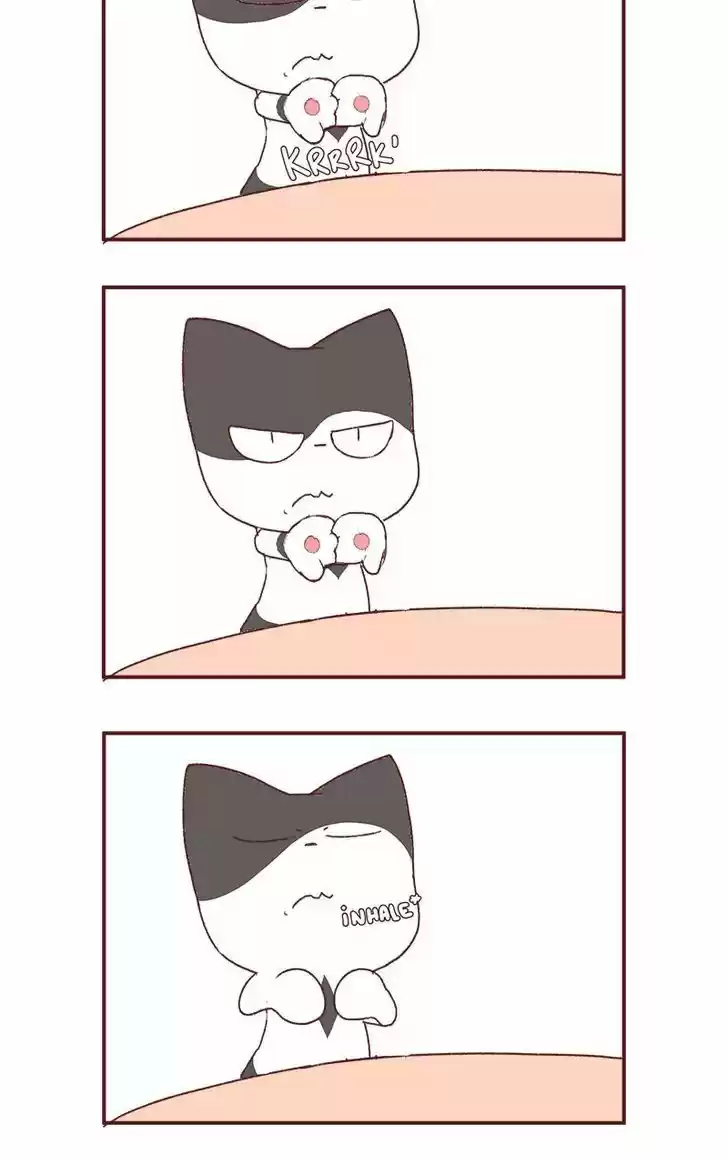 Saphie: The One-Eyed Cat 177