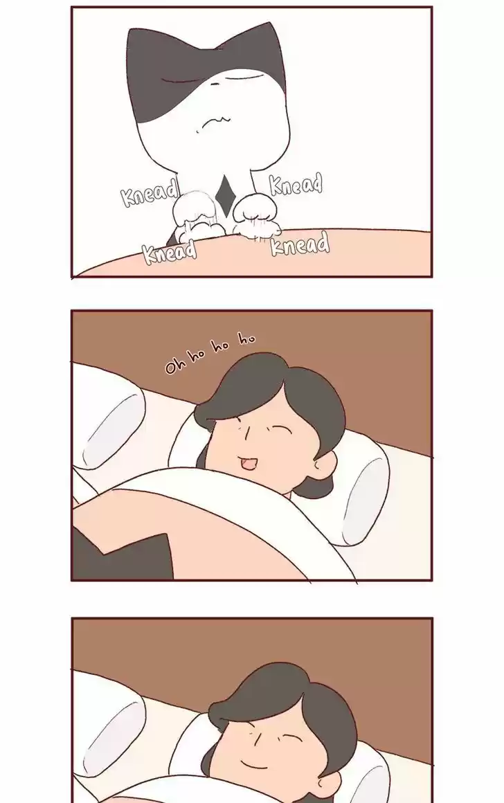 Saphie: The One-Eyed Cat 177