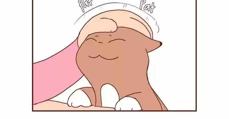 Saphie: The One-Eyed Cat 177