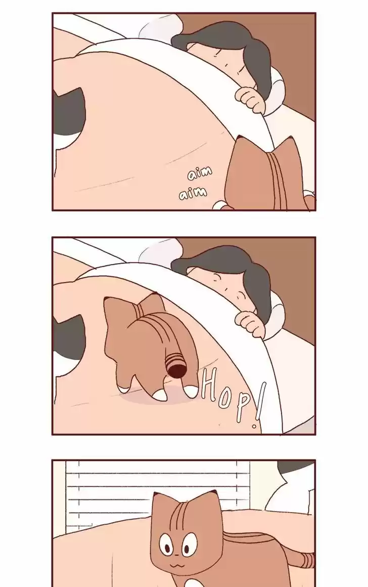 Saphie: The One-Eyed Cat 177