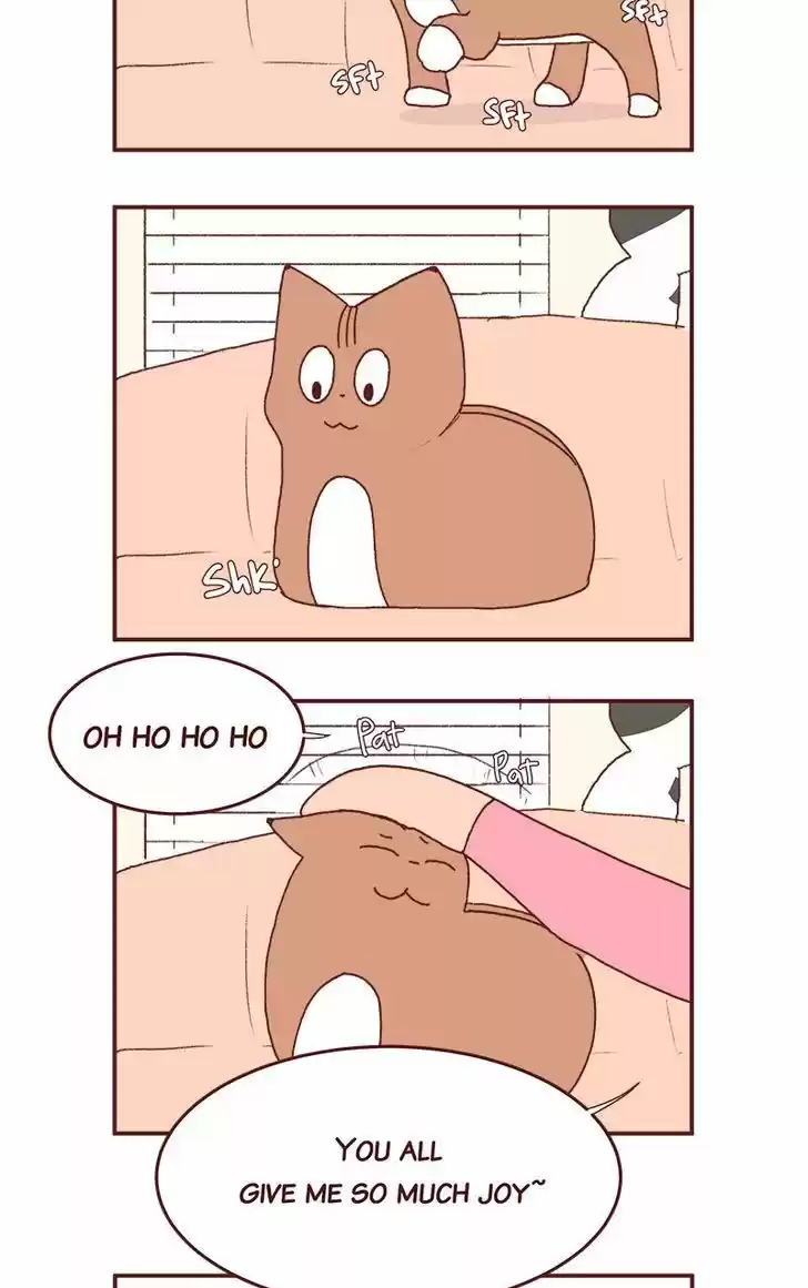 Saphie: The One-Eyed Cat 177