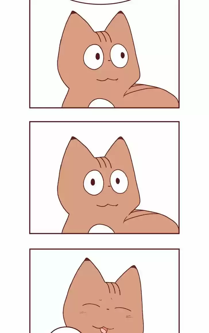 Saphie: The One-Eyed Cat 177