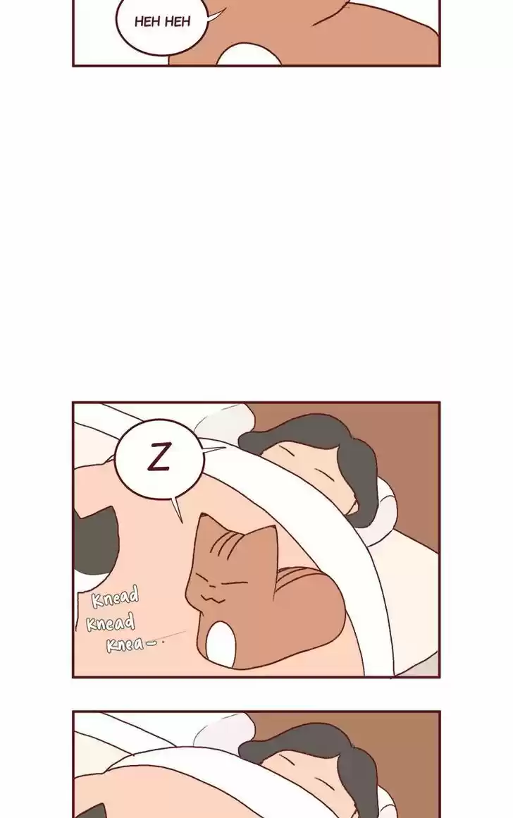 Saphie: The One-Eyed Cat 177