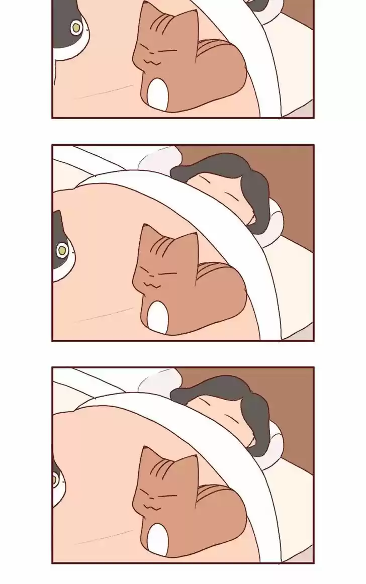 Saphie: The One-Eyed Cat 177