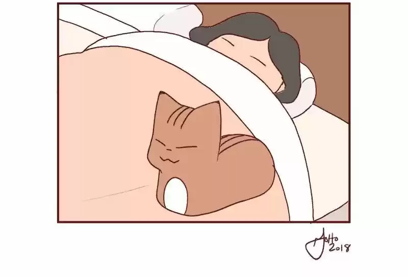 Saphie: The One-Eyed Cat 177