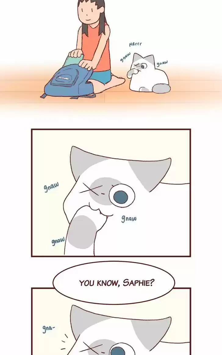 Saphie: The One-Eyed Cat 178