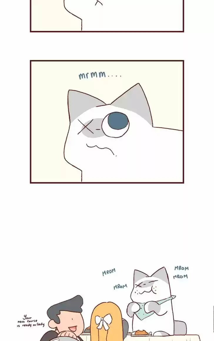 Saphie: The One-Eyed Cat 178