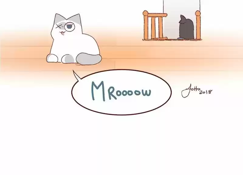 Saphie: The One-Eyed Cat 178