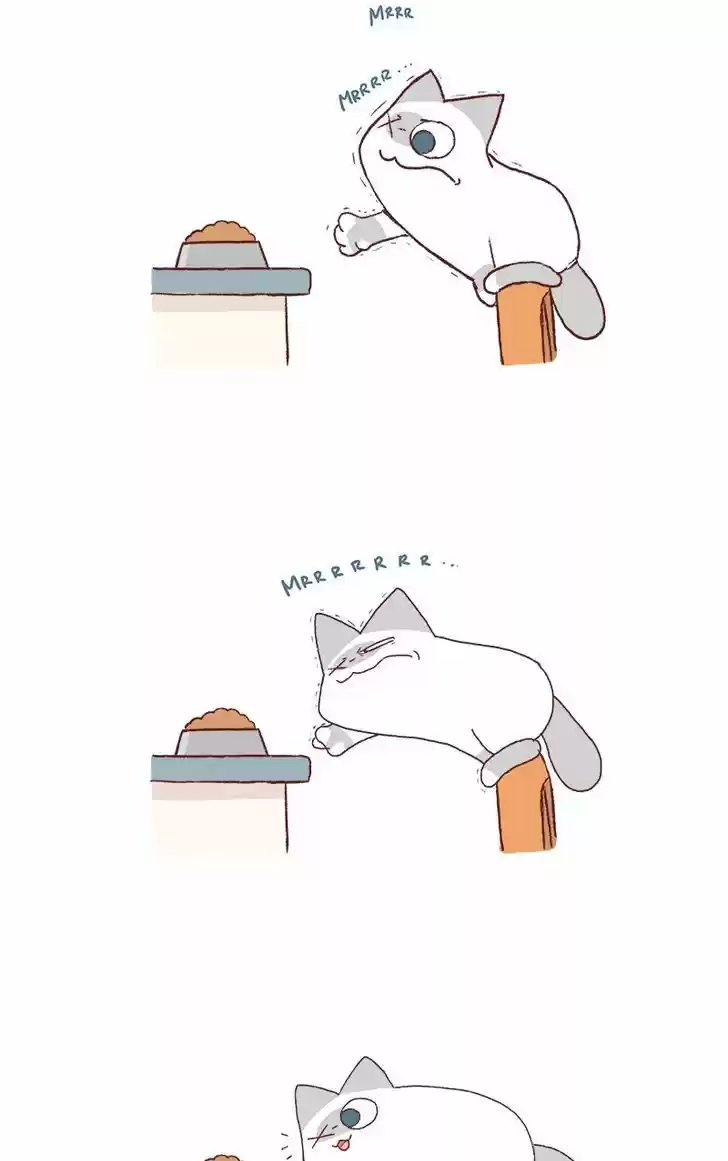 Saphie: The One-Eyed Cat 179