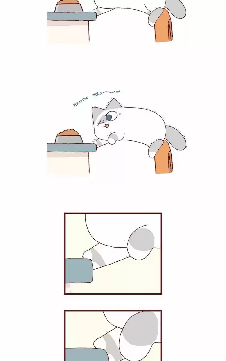 Saphie: The One-Eyed Cat 179