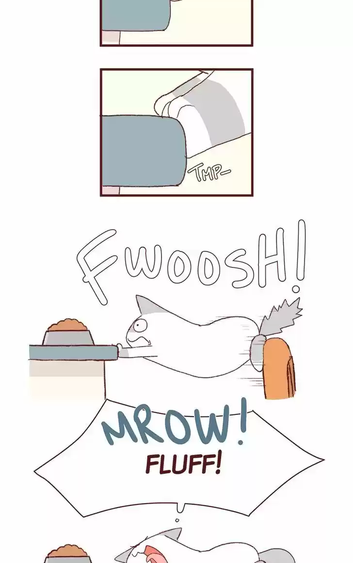 Saphie: The One-Eyed Cat 179