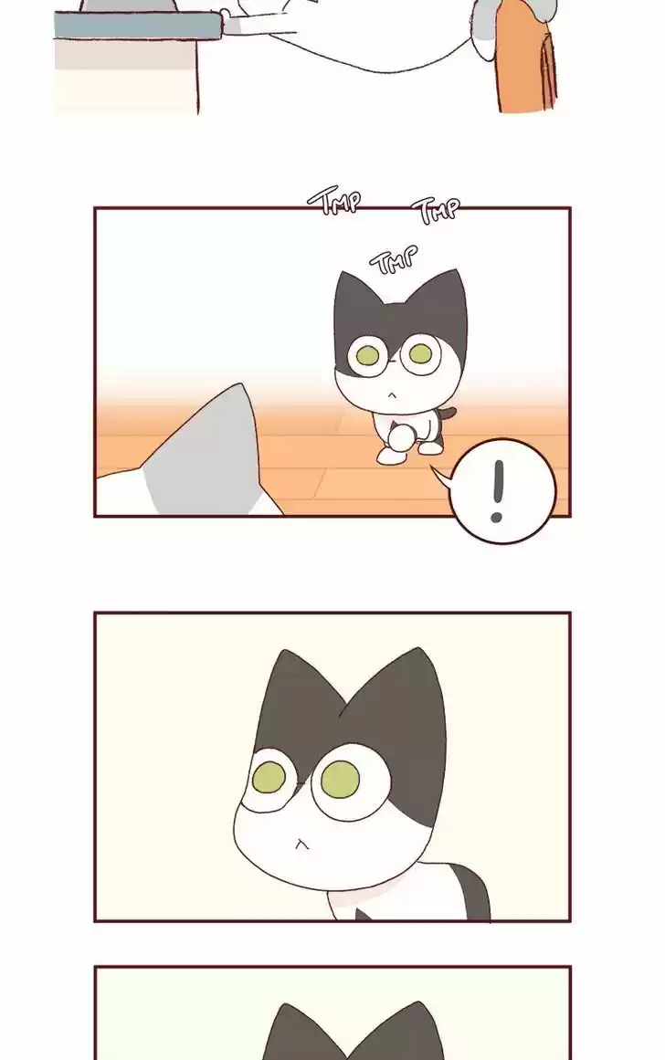 Saphie: The One-Eyed Cat 179