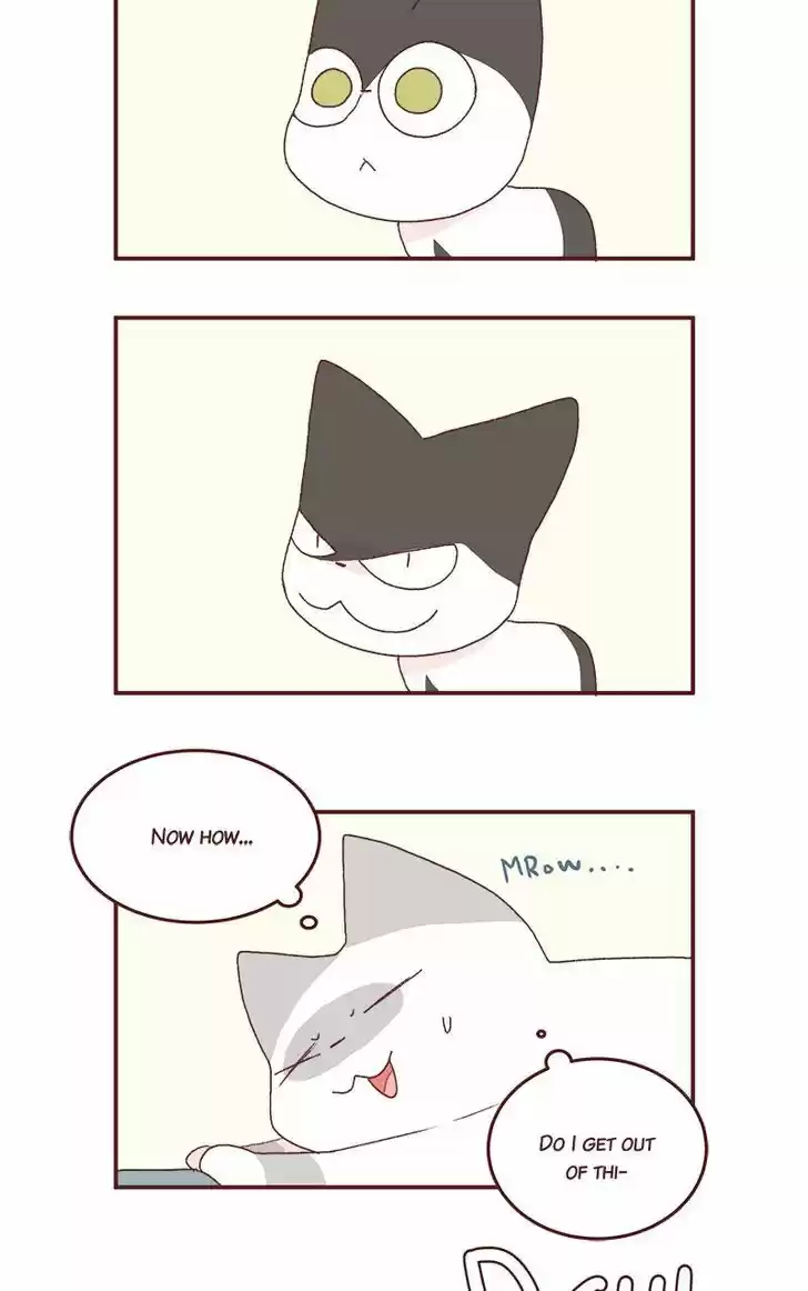 Saphie: The One-Eyed Cat 179