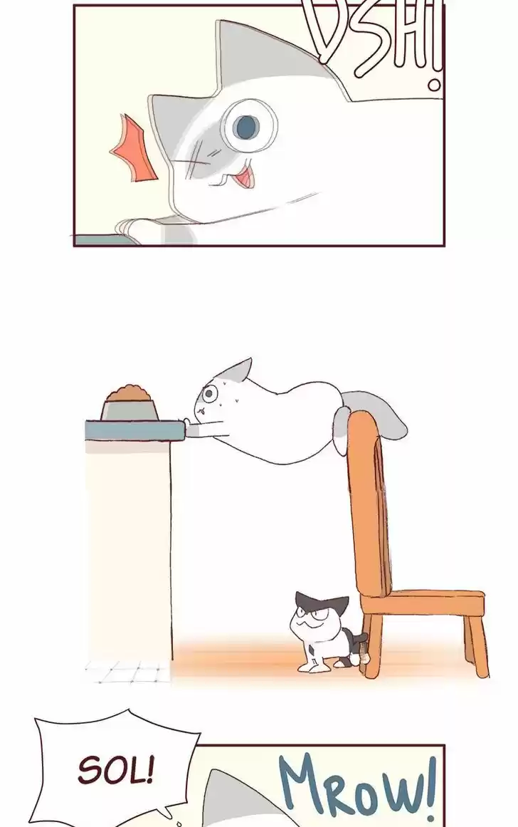 Saphie: The One-Eyed Cat 179