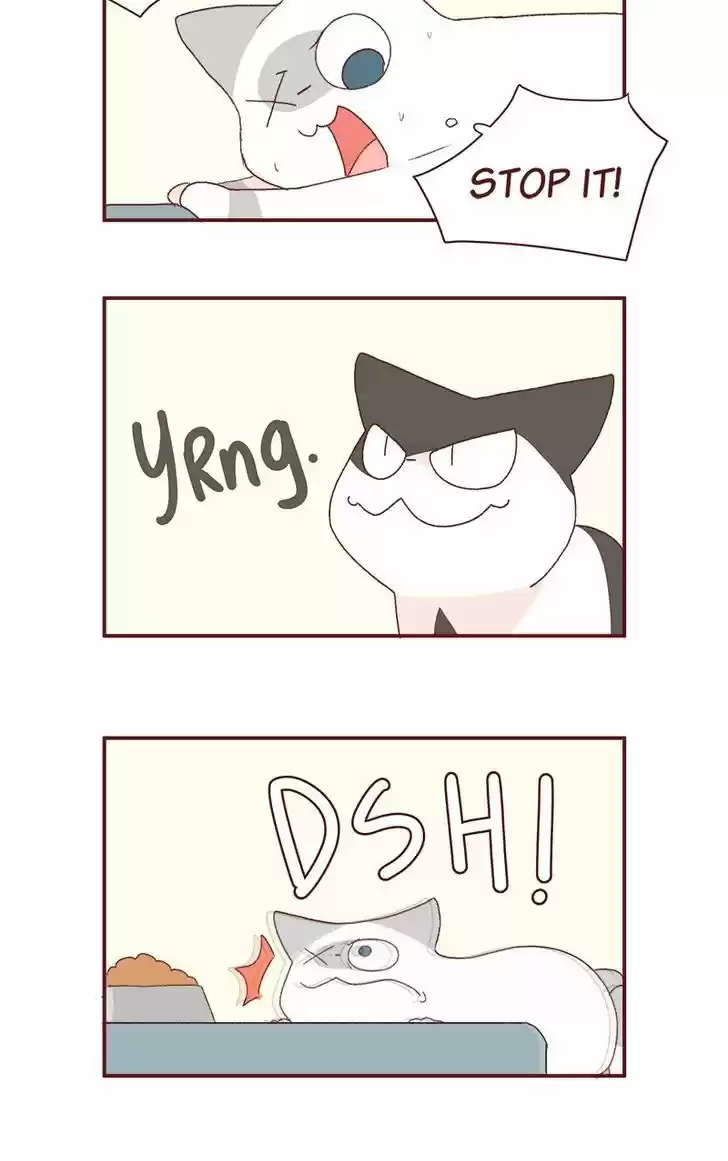 Saphie: The One-Eyed Cat 179