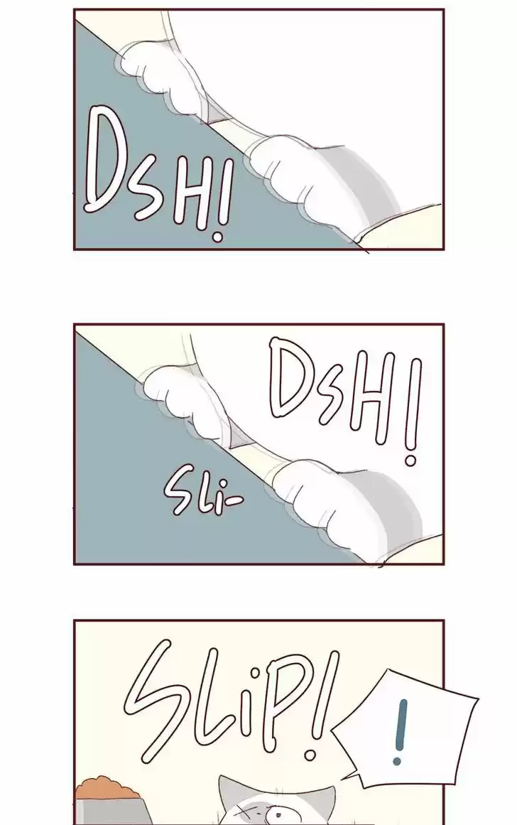 Saphie: The One-Eyed Cat 179