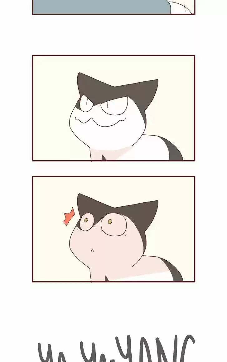 Saphie: The One-Eyed Cat 179