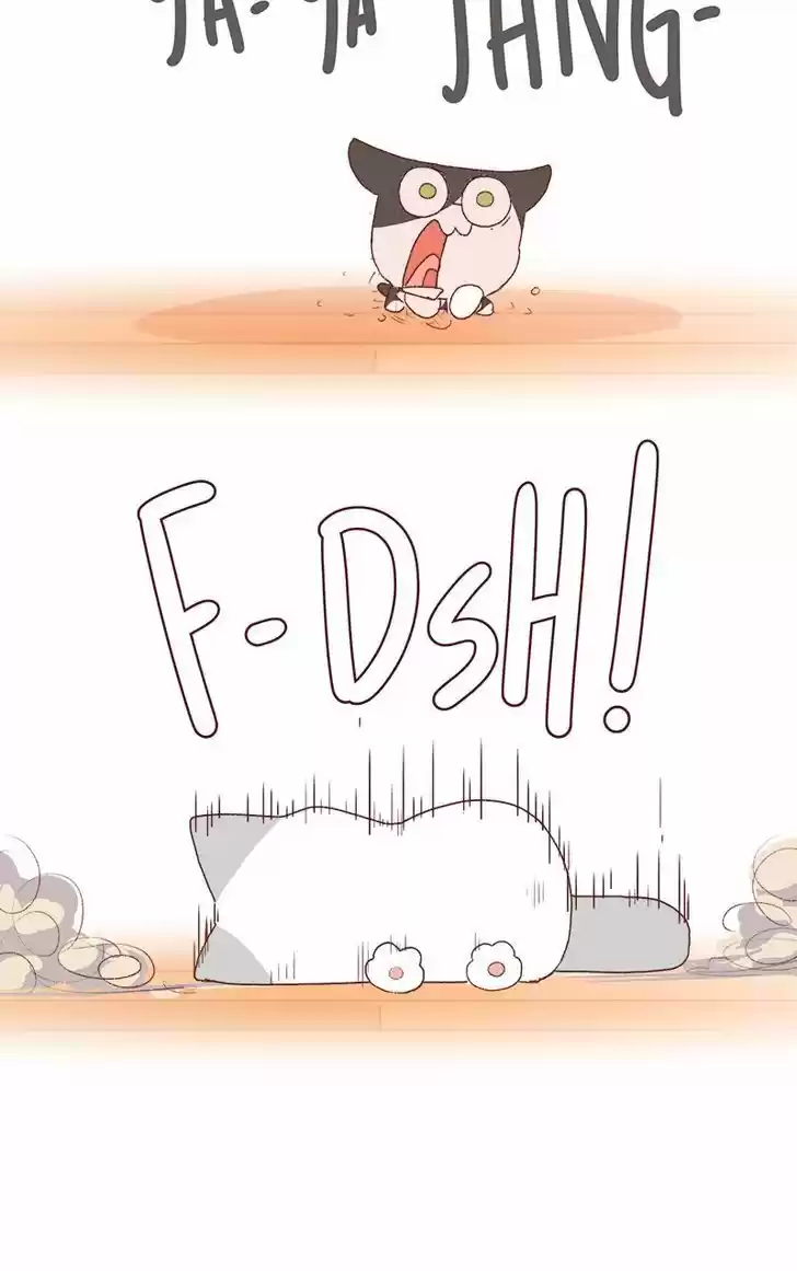 Saphie: The One-Eyed Cat 179