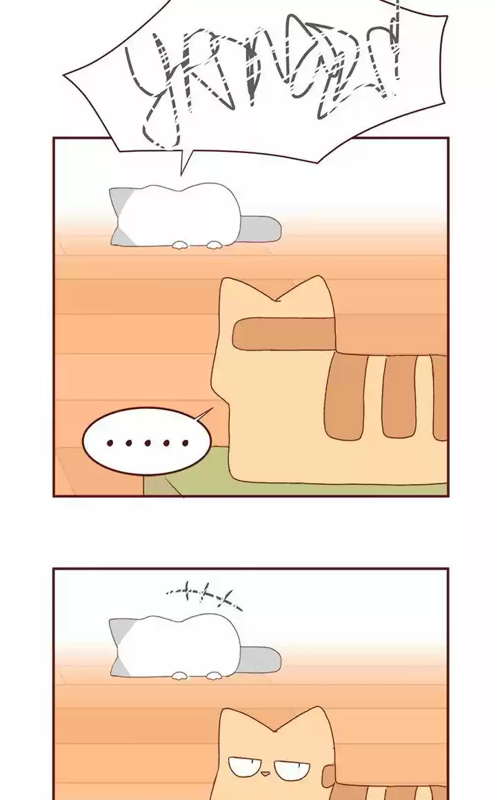 Saphie: The One-Eyed Cat 179