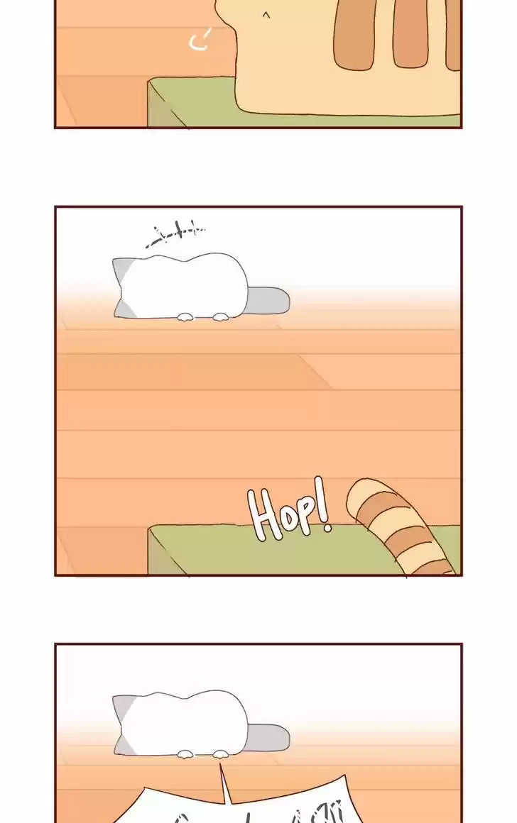 Saphie: The One-Eyed Cat 179