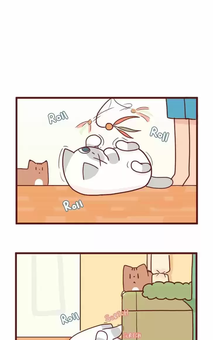 Saphie: The One-Eyed Cat 18