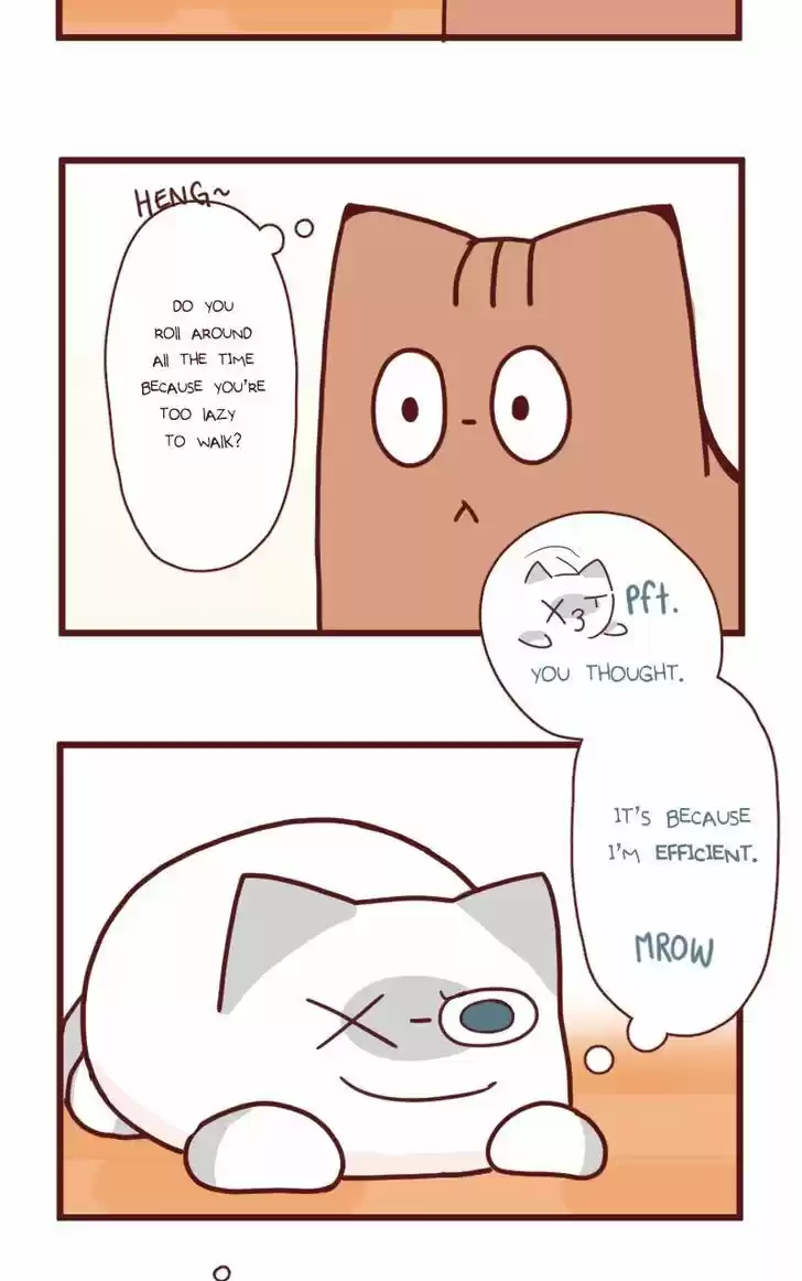 Saphie: The One-Eyed Cat 18