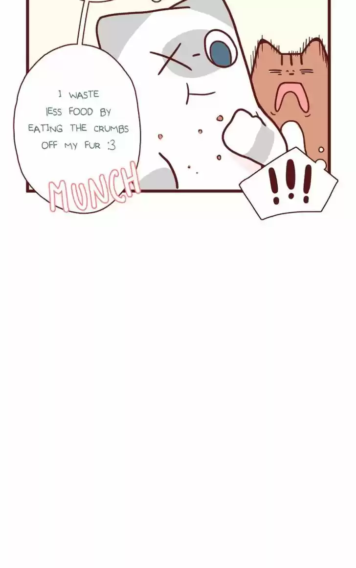 Saphie: The One-Eyed Cat 18