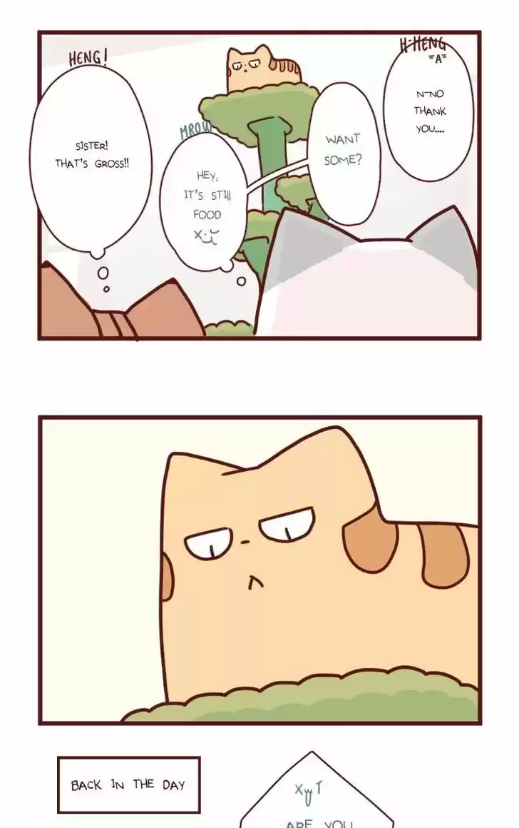 Saphie: The One-Eyed Cat 18