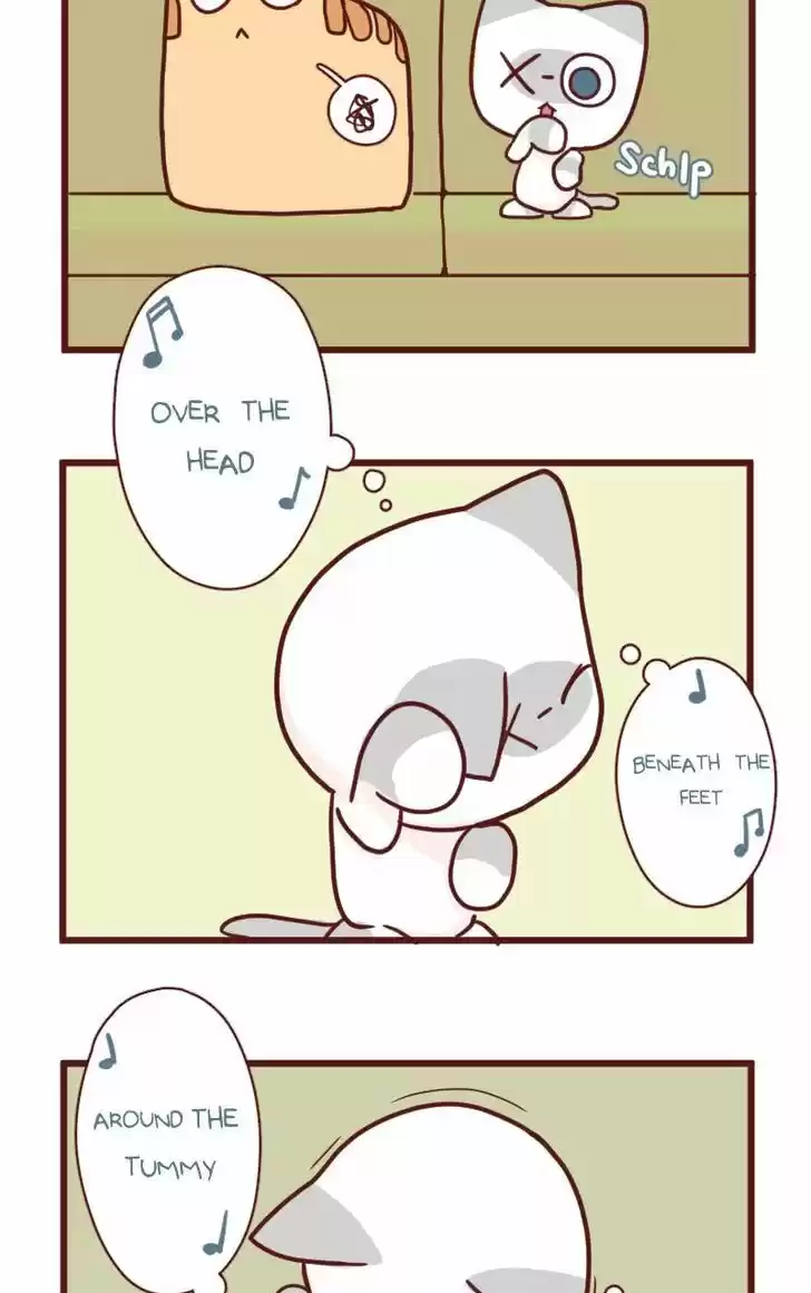 Saphie: The One-Eyed Cat 18