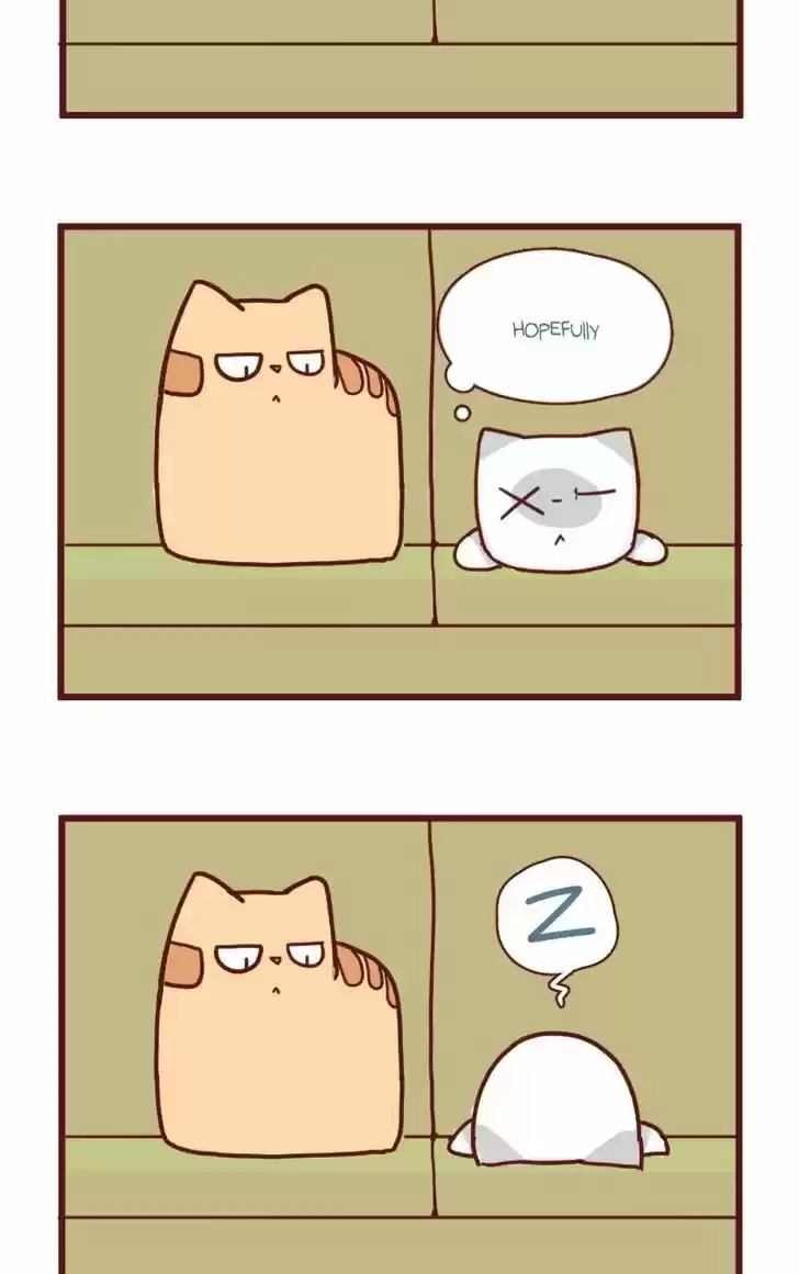 Saphie: The One-Eyed Cat 18