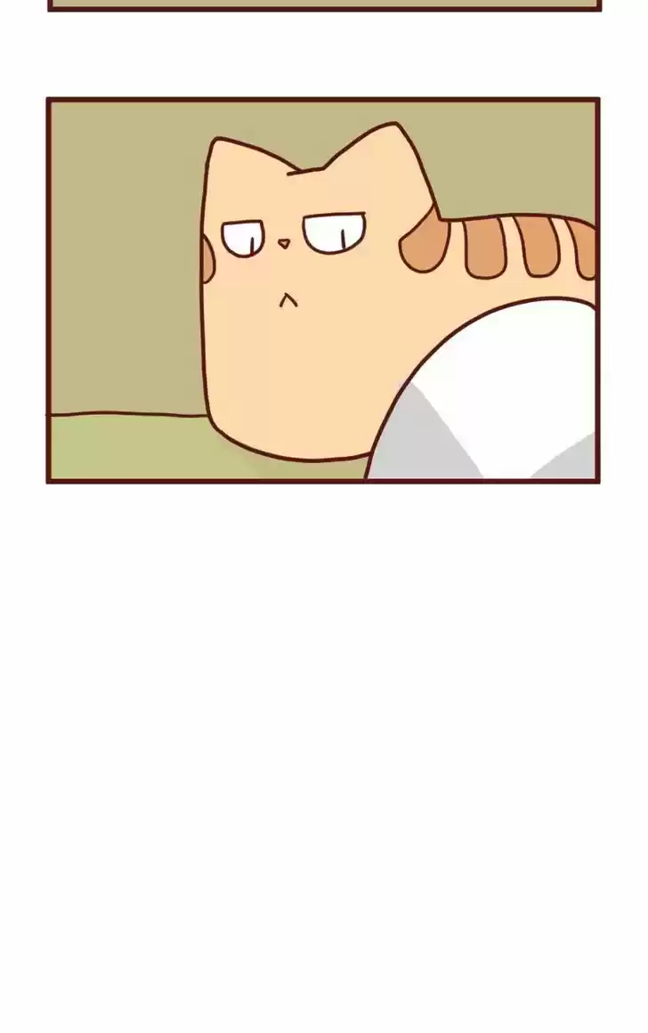 Saphie: The One-Eyed Cat 18