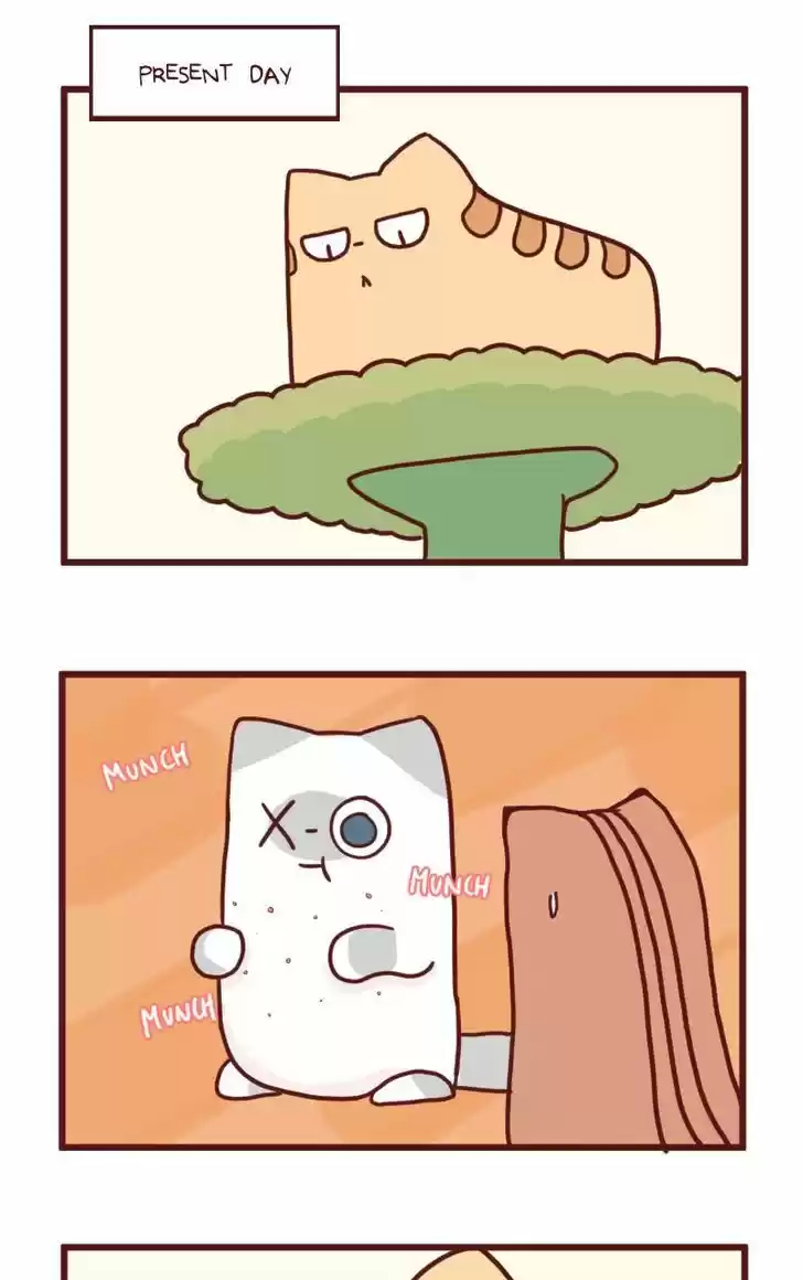 Saphie: The One-Eyed Cat 18