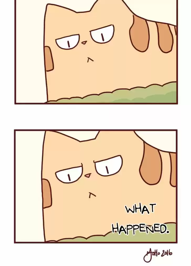 Saphie: The One-Eyed Cat 18