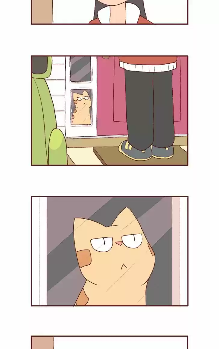 Saphie: The One-Eyed Cat 180