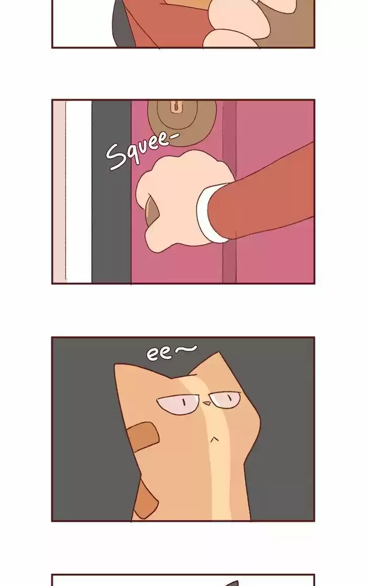 Saphie: The One-Eyed Cat 180