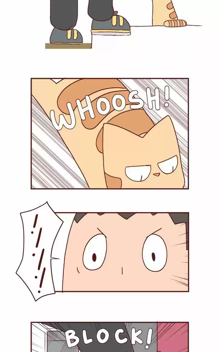 Saphie: The One-Eyed Cat 180