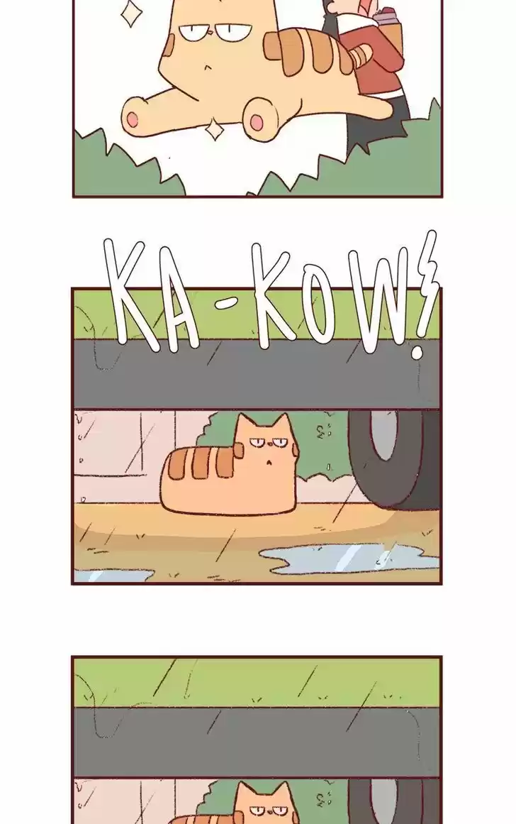 Saphie: The One-Eyed Cat 180