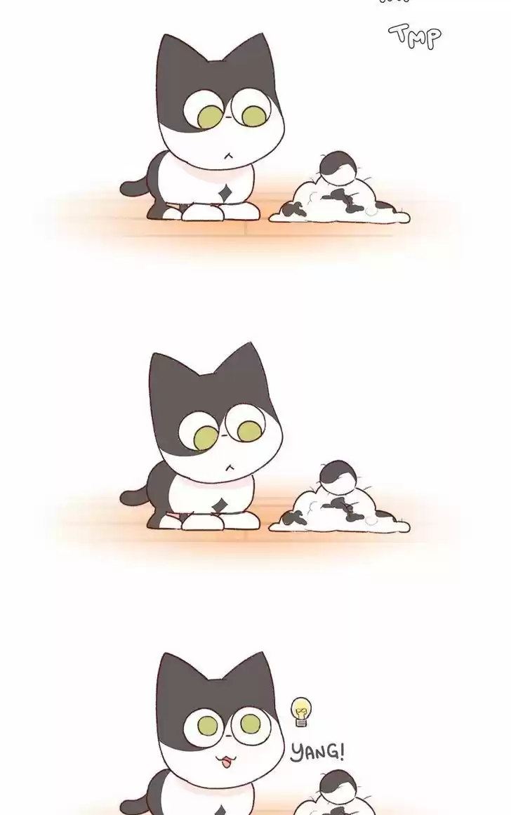 Saphie: The One-Eyed Cat 181